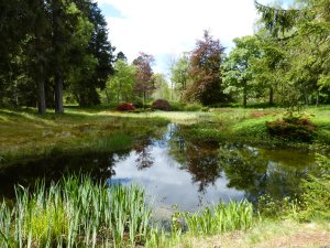 balmoral pond